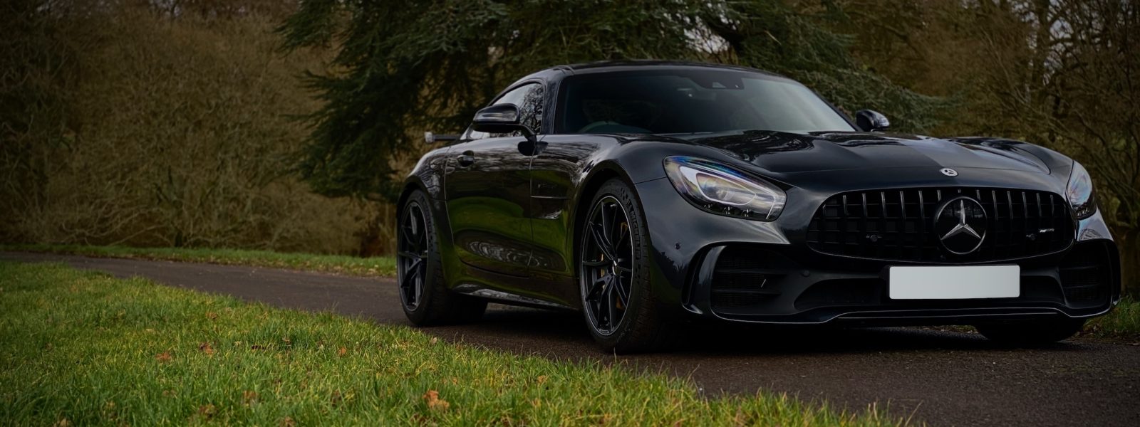AMG_Sales_Header-1