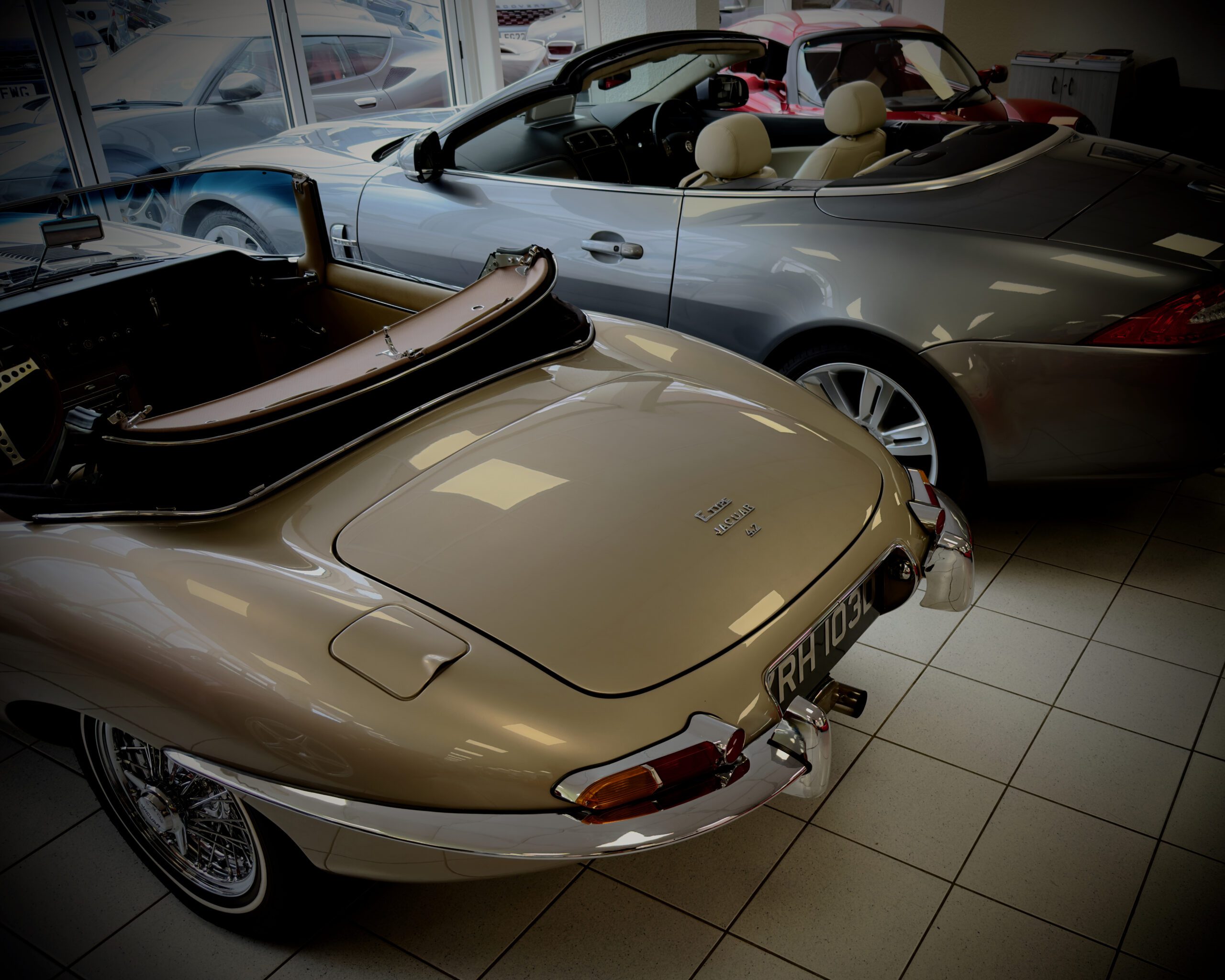 showroom-1-scaled-1.jpeg